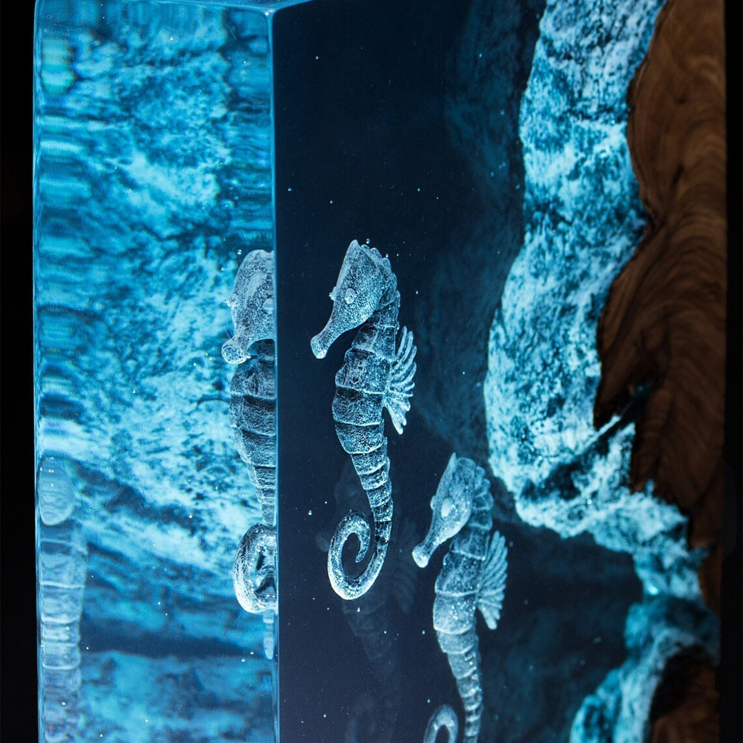 Seahorses - High Quality Epoxy Resin Lamp - ArtFIGU